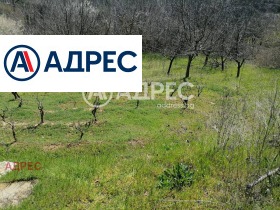 ������� ������ | Imot.bg � ����� ������ 7