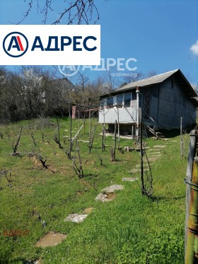 ����� ������� ������,�. �������, ������ �����