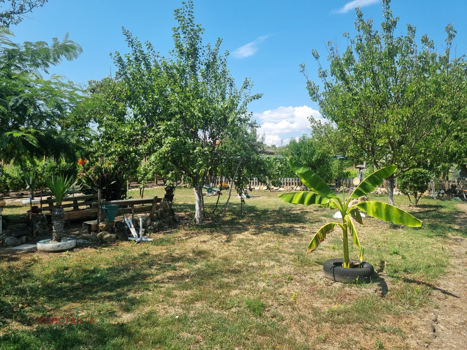 Продава КЪЩА, с. Арнаутито, област Стара Загора, снимка 5 - Къщи - 55876940