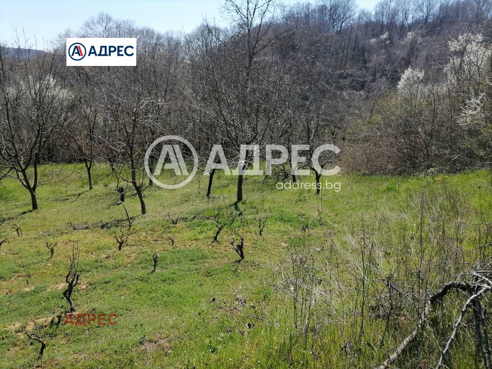 Продава ПАРЦЕЛ, с. Осеново, област Варна, снимка 12 - Парцели - 54227710