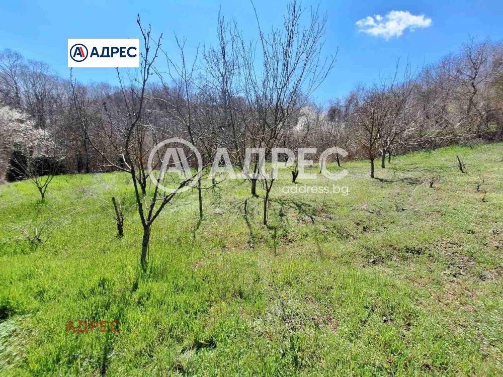 Продава ПАРЦЕЛ, с. Осеново, област Варна, снимка 5 - Парцели - 54227710