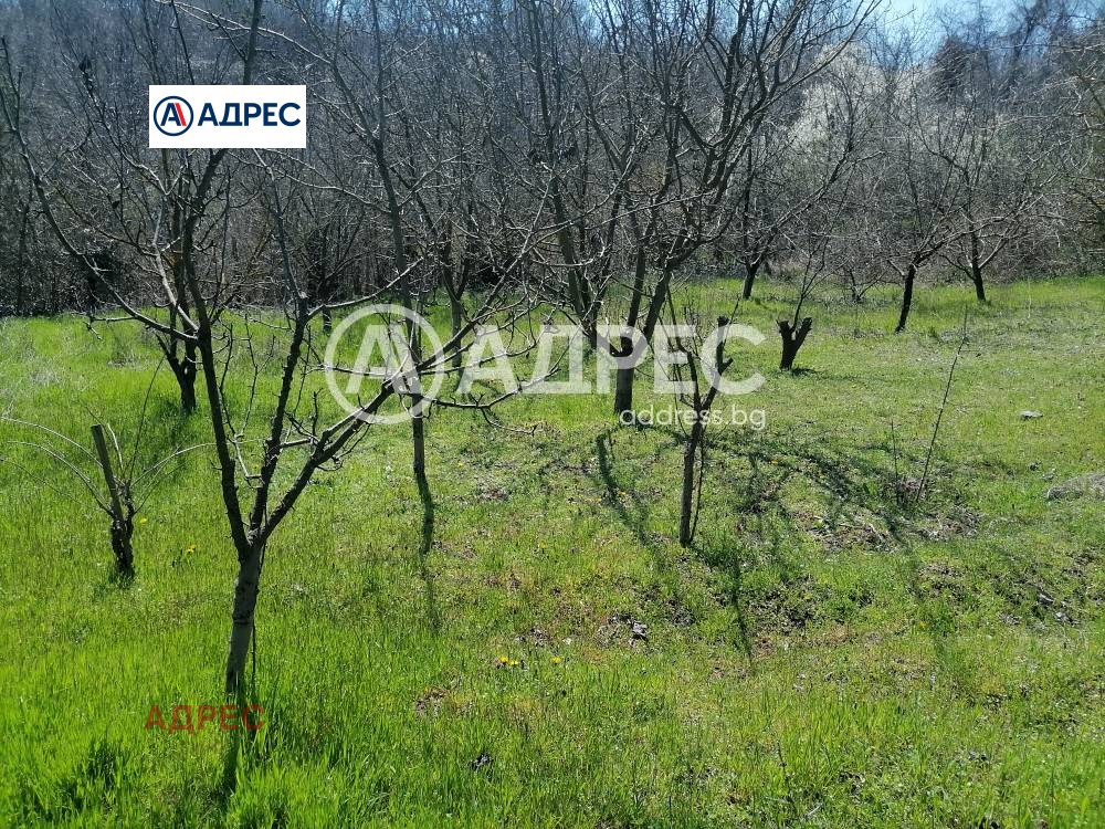 Продава ПАРЦЕЛ, с. Осеново, област Варна, снимка 9 - Парцели - 54227710