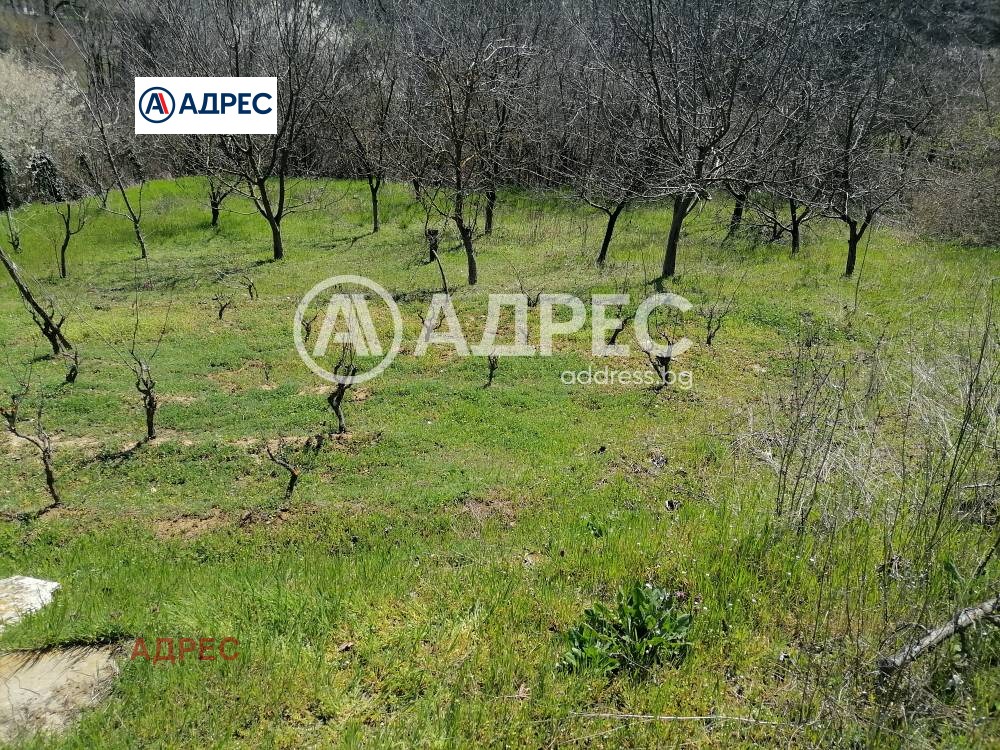 Продава ПАРЦЕЛ, с. Осеново, област Варна, снимка 7 - Парцели - 54227710