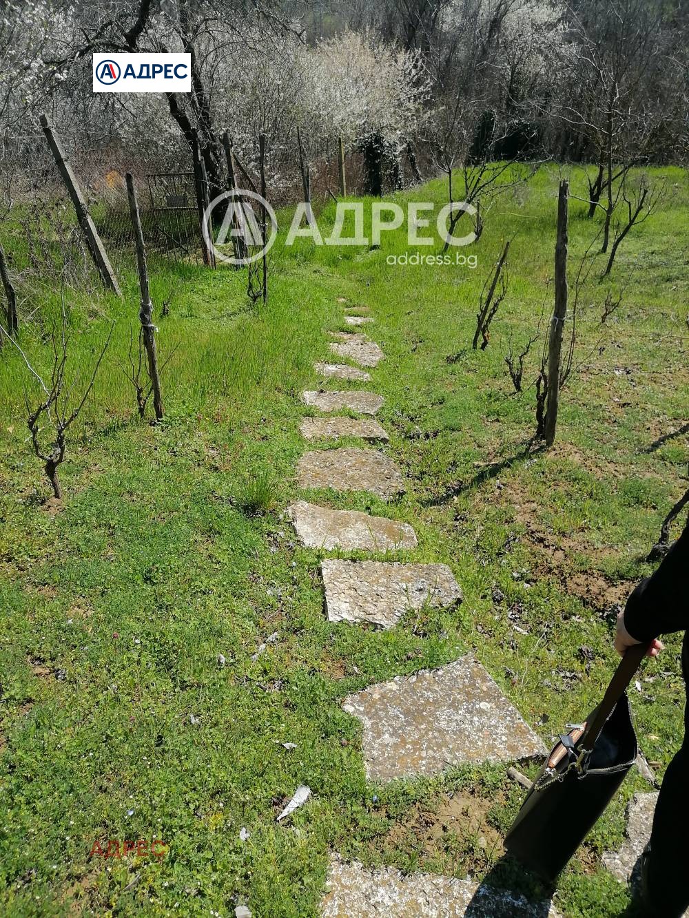 Продава ПАРЦЕЛ, с. Осеново, област Варна, снимка 4 - Парцели - 54227710