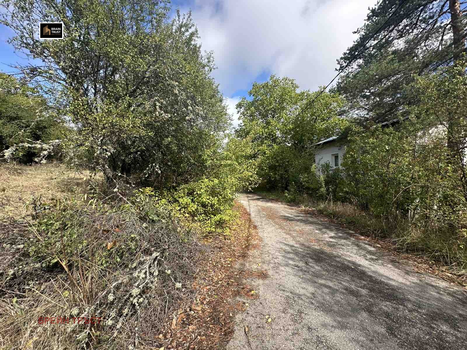 Продава ПАРЦЕЛ, с. Алино, област София област, снимка 11 - Парцели - 54461838