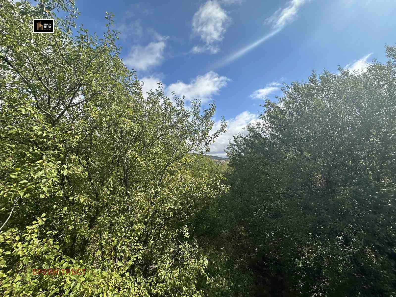 Продава ПАРЦЕЛ, с. Алино, област София област, снимка 16 - Парцели - 54461838