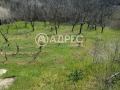 Продава ПАРЦЕЛ, с. Осеново, област Варна, снимка 7