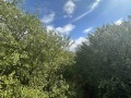 Продава ПАРЦЕЛ, с. Алино, област София област, снимка 16
