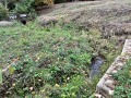 Продава ПАРЦЕЛ, гр. Ботевград, област София област, снимка 2
