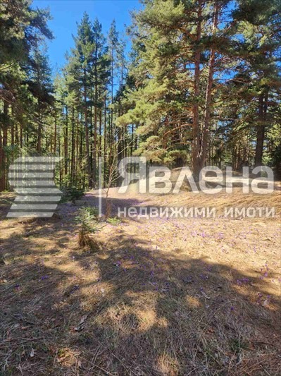 Продава КЪЩА, с. Бели Искър, област София област, снимка 10 - Къщи - 55794893