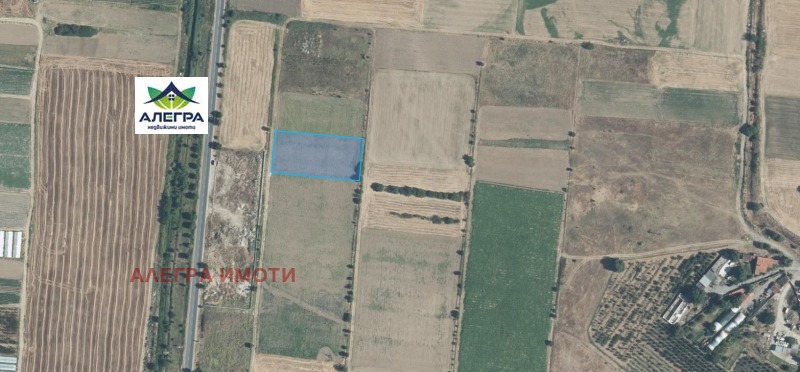 Продава ЗЕМЕДЕЛСКА ЗЕМЯ в област Пазарджик, с. Ивайло - 3.85 дка / 50 050 € » 97 889.29 лв., АЛЕГРА ИМОТИ