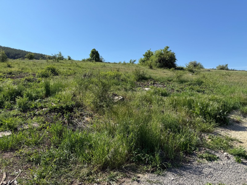 Til salg  Grund region Pernik , Stefanovo , 840 kvm | 42519151 - billede [5]