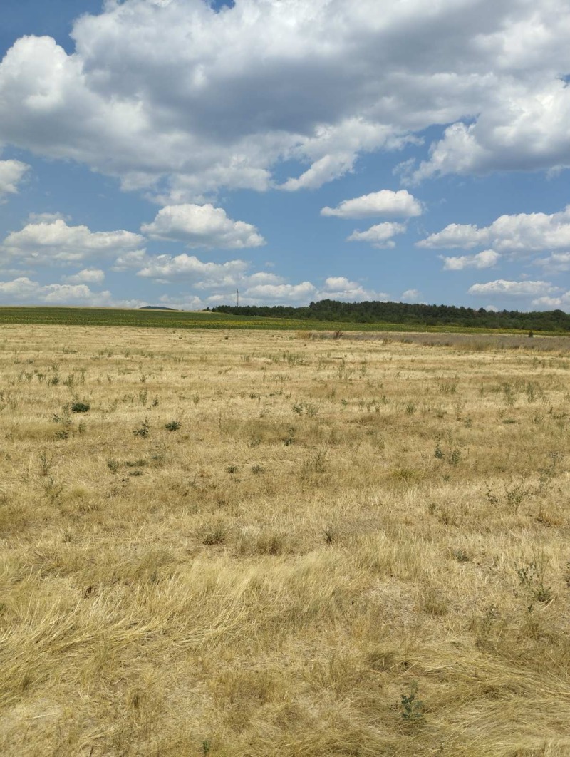 Zu verkaufen  Handlung region Sofia , Petartsch , 5774 qm | 94500655 - Bild [5]