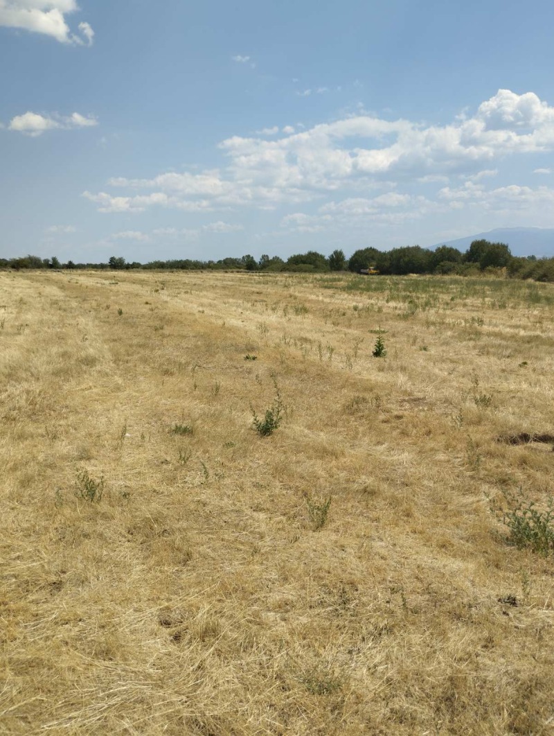 Zu verkaufen  Handlung region Sofia , Petartsch , 5774 qm | 94500655 - Bild [7]