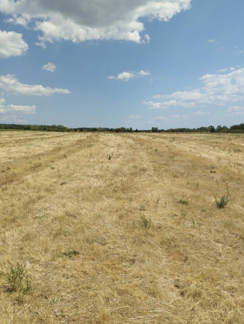 Zu verkaufen  Handlung region Sofia , Petartsch , 5774 qm | 94500655 - Bild [6]