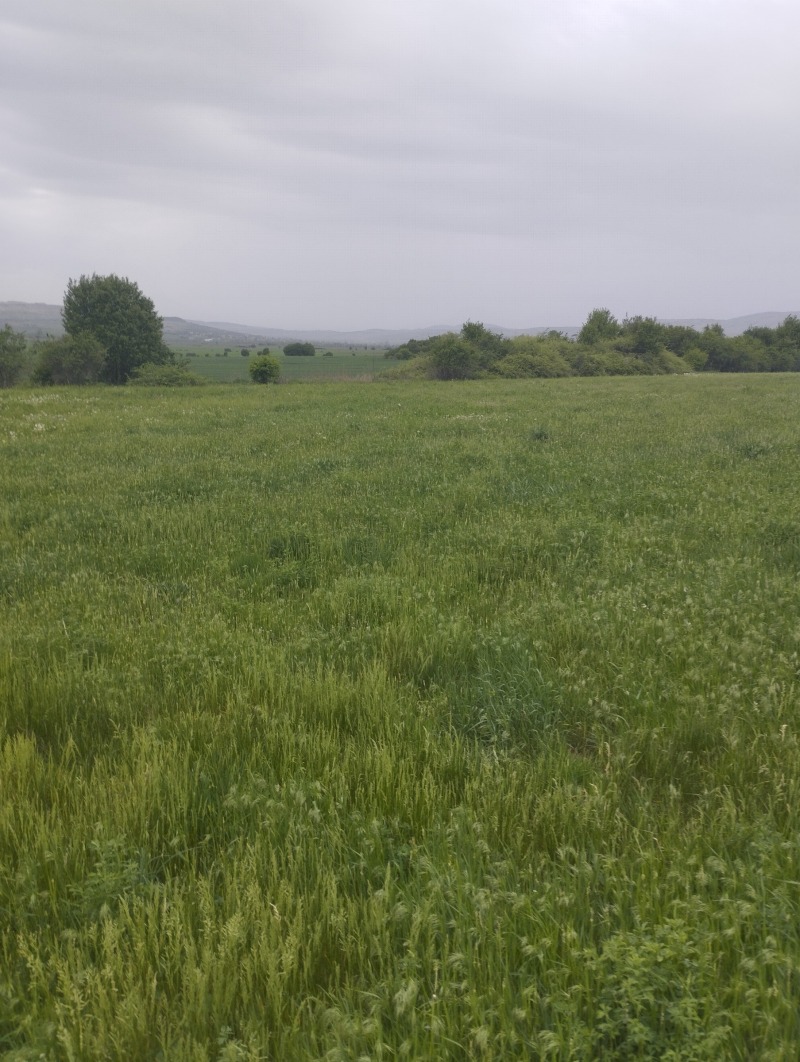 Zu verkaufen  Handlung region Sofia , Petartsch , 5774 qm | 94500655 - Bild [2]