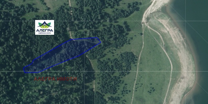 Продава ЗЕМЕДЕЛСКА ЗЕМЯ в област Пазарджик, гр. Батак - 9.898 дка / 75 911.51 € » 148 470 лв., АЛЕГРА ИМОТИ