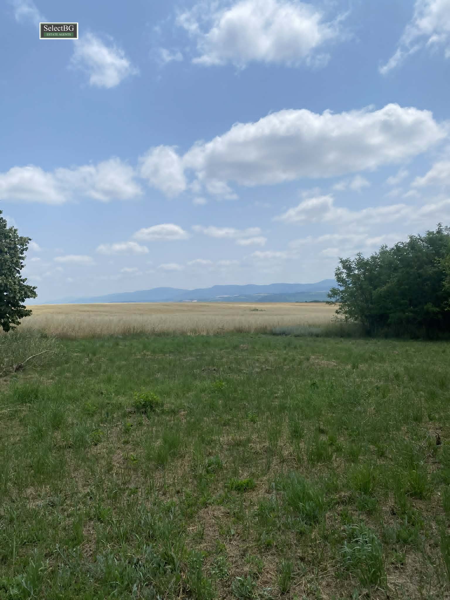 ������� ������ | Imot.bg � ����������� 4