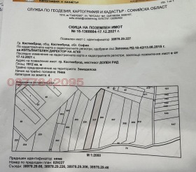 ������ ������� ������