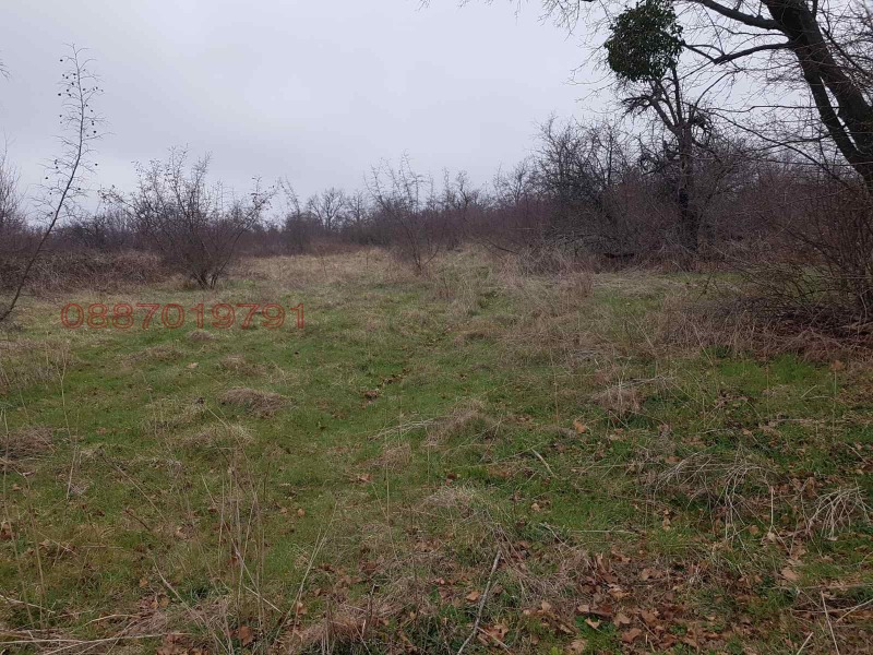 Продава ПАРЦЕЛ, с. Фазаново, област Бургас, снимка 7 - Парцели - 52950842