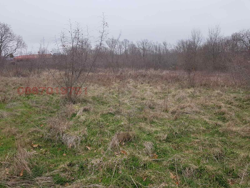 Продава ПАРЦЕЛ, с. Фазаново, област Бургас, снимка 5 - Парцели - 52950842