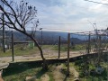 Продава КЪЩА, с. Пиперково, област Русе, снимка 3