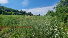 ������� ������ | Imot.bg � ����� ������ 5