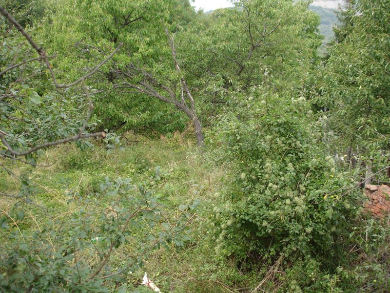 For Sale  Plot region Plovdiv , Galabovo , 800 sq.m | 51276001 - image [12]