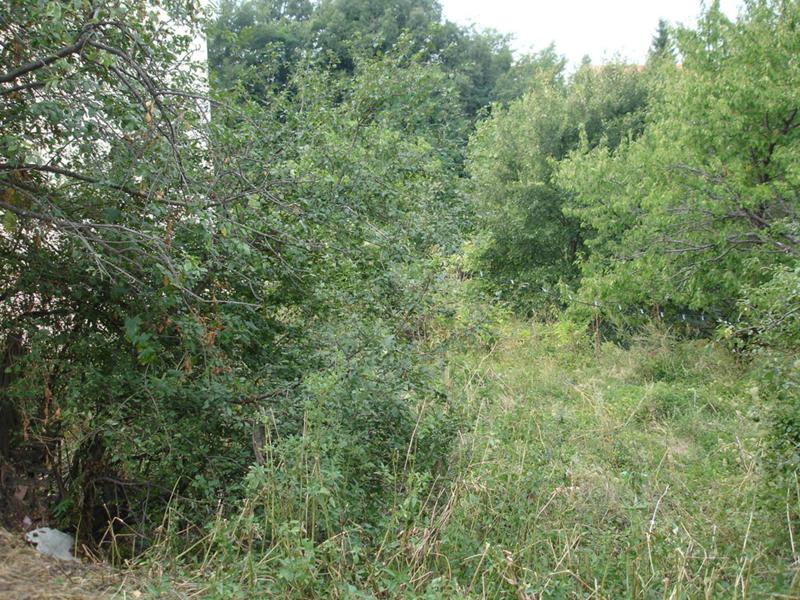 For Sale  Plot region Plovdiv , Galabovo , 800 sq.m | 51276001 - image [13]