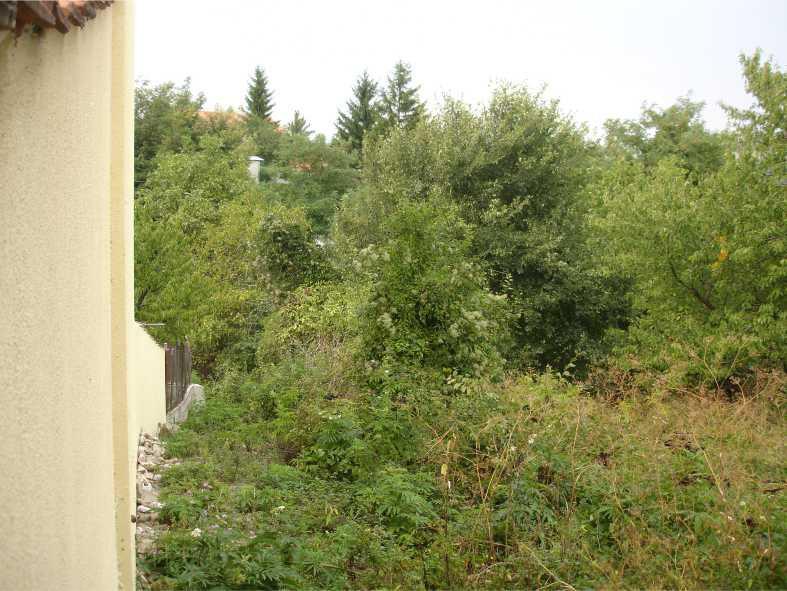 For Sale  Plot region Plovdiv , Galabovo , 800 sq.m | 51276001 - image [3]