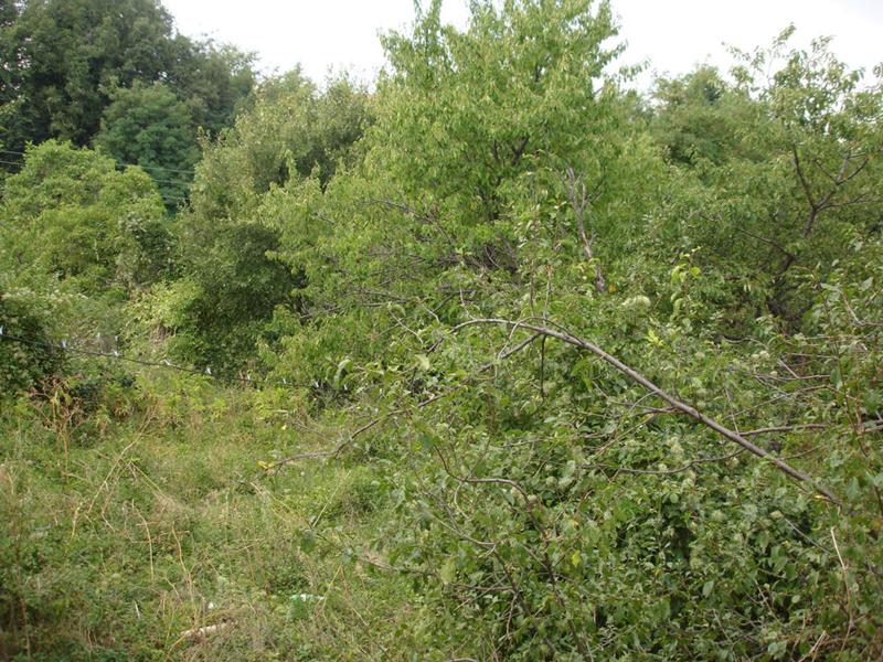 For Sale  Plot region Plovdiv , Galabovo , 800 sq.m | 51276001 - image [15]