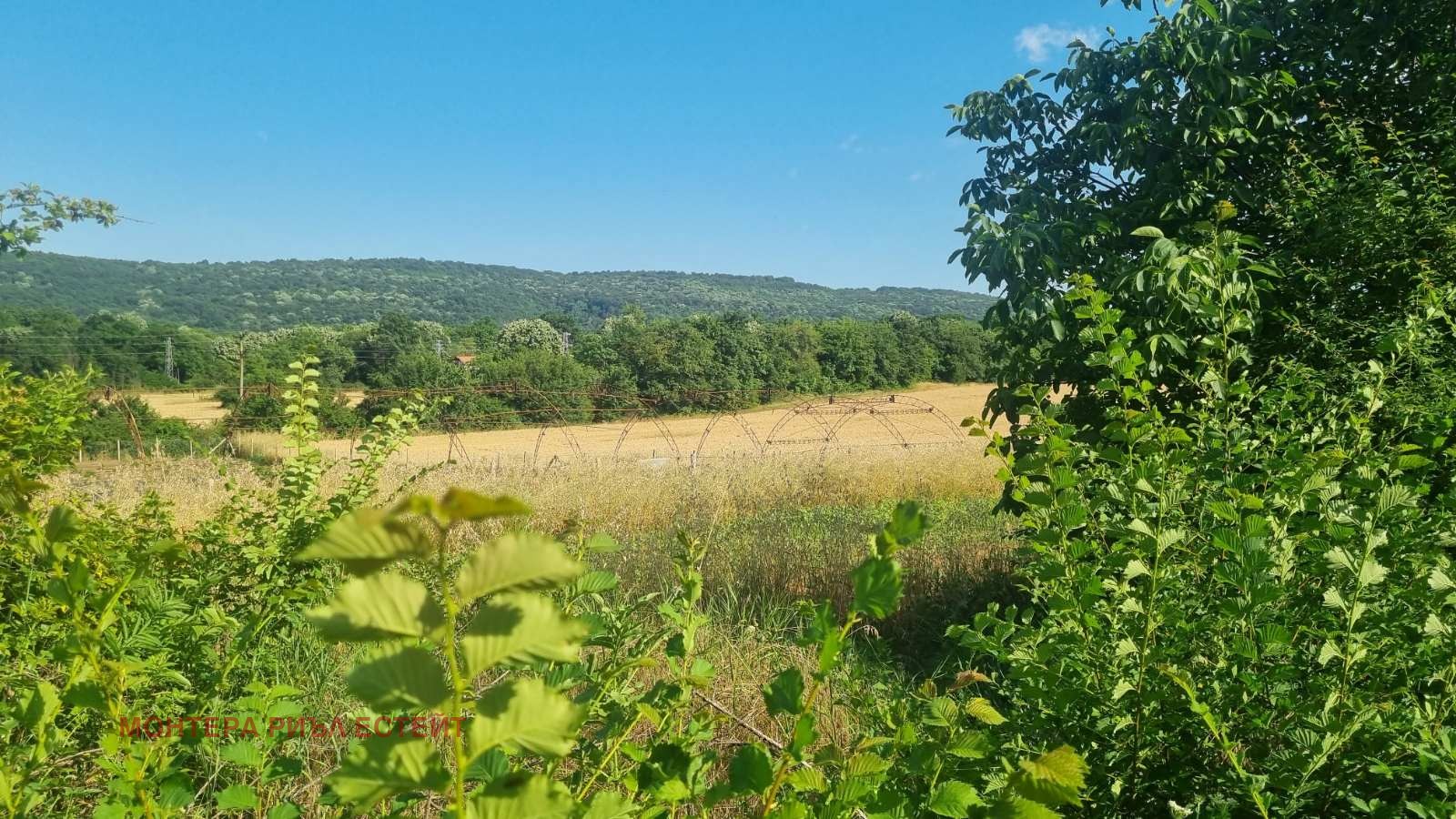 Продава ПАРЦЕЛ, с. Кичево, област Варна, снимка 3 - Парцели - 55090731