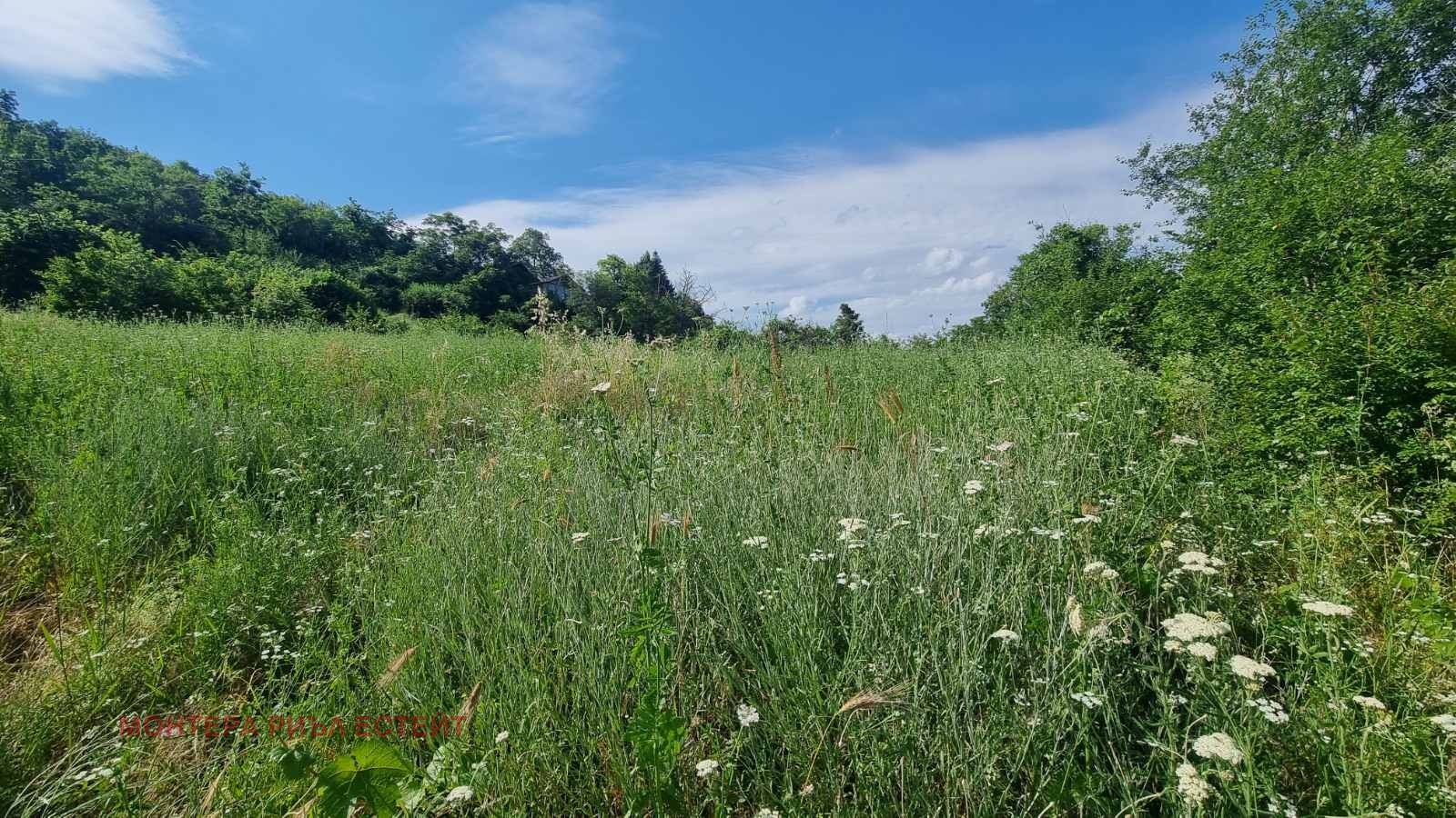 Продава ПАРЦЕЛ, с. Кичево, област Варна, снимка 5 - Парцели - 55090731