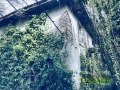 Продава КЪЩА, с. Буря, област Габрово, снимка 2