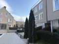 Продава  4-стаен град Варна , Галата , 124 кв.м | 63168082 - изображение [4]