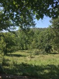 Продава КЪЩА, област Перник, с. Копаница • 44000 лв. • 22322560 — Holmes.bg