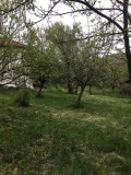 Продава КЪЩА, област Перник, с. Копаница • 44000 лв. • 22322560 — Holmes.bg