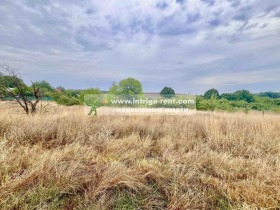 ����� ������� ������,���� �������, �.�. �������