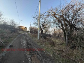 ����� ������� ������,���� �����, �. ���� ������>