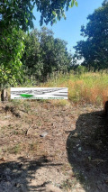 Продава ПАРЦЕЛ, град Пловдив, Беломорски • 66000 € • 58925020 — Holmes.bg