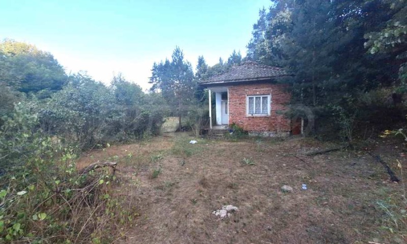 Продава ПАРЦЕЛ в област Благоевград, с. Елешница - 5038 кв.м / 150 000 € » 293 374.50 лв., СУПРИММО ОФИСИ В СТРАНАТА