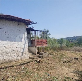 Hus Pisanets, region Ruse 4