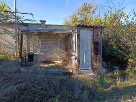 ����� ������� ������,���� �����, ������