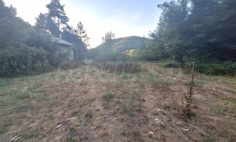 Til salgs  Plott region Blagoevgrad , Elesjnitsa , 5038 kvm | 47070565 - bilde [6]