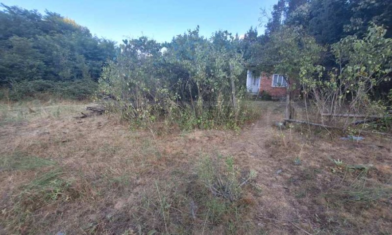 Til salgs  Plott region Blagoevgrad , Elesjnitsa , 5038 kvm | 47070565 - bilde [13]