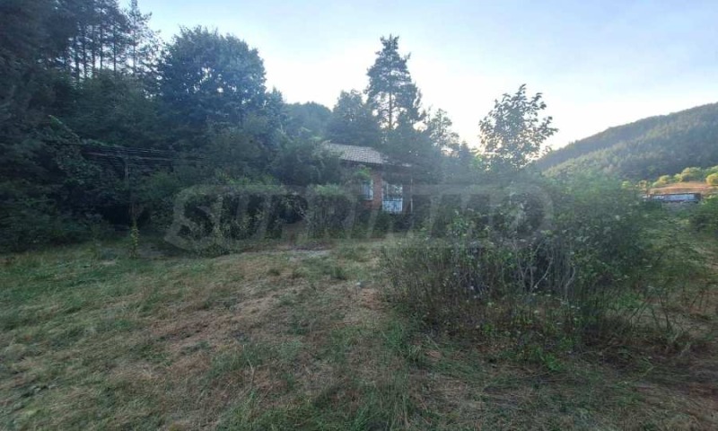 Til salgs  Plott region Blagoevgrad , Elesjnitsa , 5038 kvm | 47070565 - bilde [10]