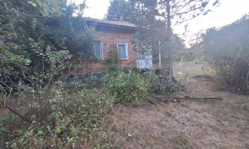 Til salgs  Plott region Blagoevgrad , Elesjnitsa , 5038 kvm | 47070565 - bilde [4]