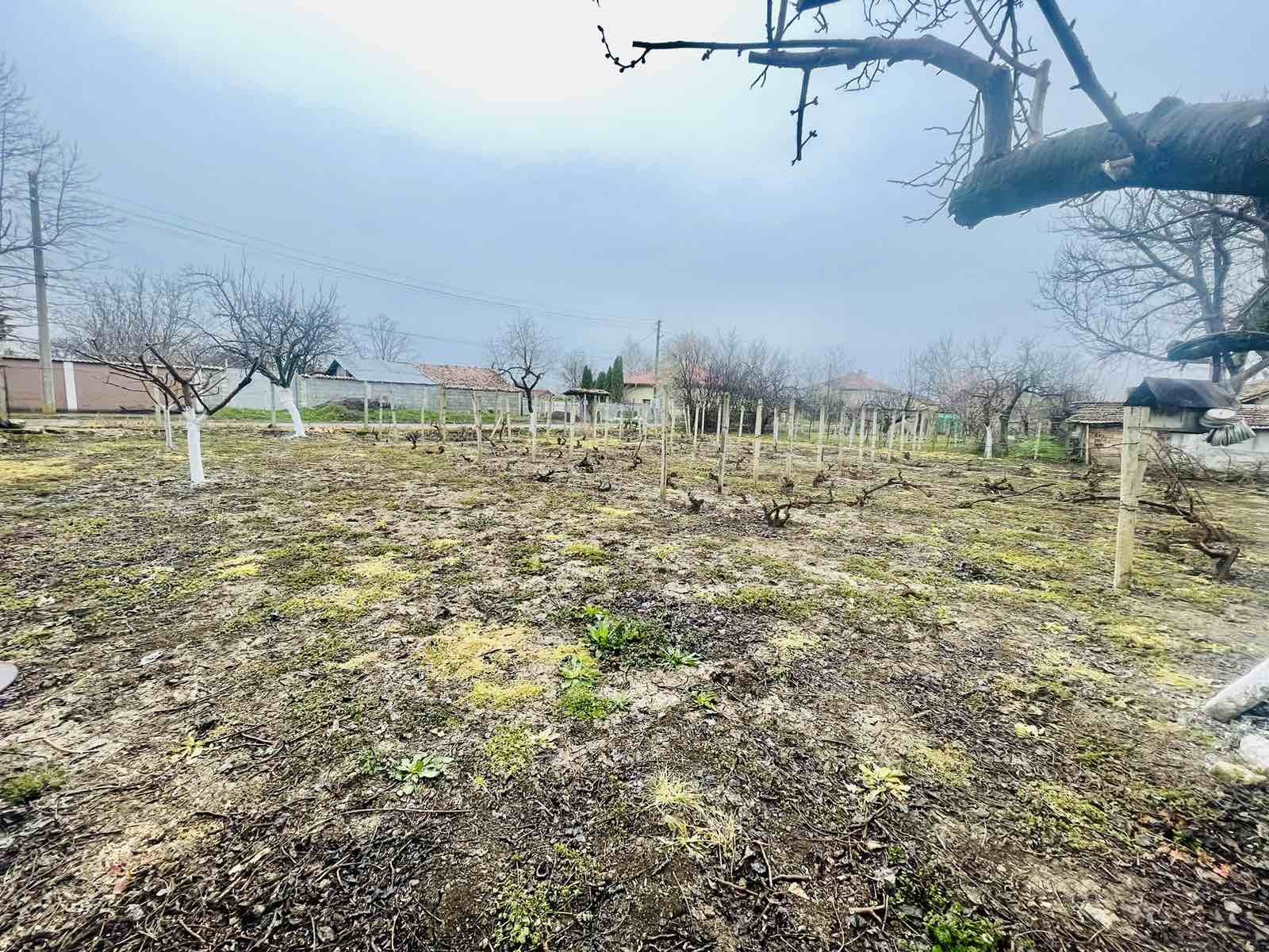 Продава КЪЩА, с. Дибич, област Шумен, снимка 14 - Къщи - 53678069