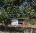 Продава КЪЩА, област Русе, с. Писанец • 11800 € • 50048329 — Holmes.bg