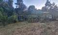 Продава ПАРЦЕЛ, област Благоевград, с. Елешница • 235000 € • 72002769 — Holmes.bg
